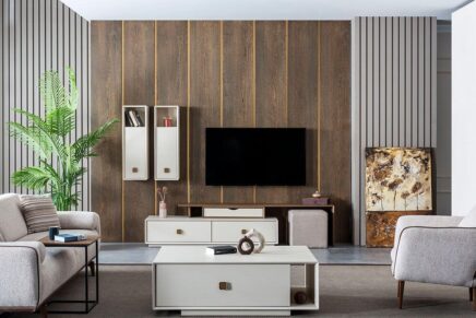 orjin tv unitesi 4
