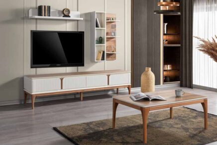 ladis tv unitesi 2