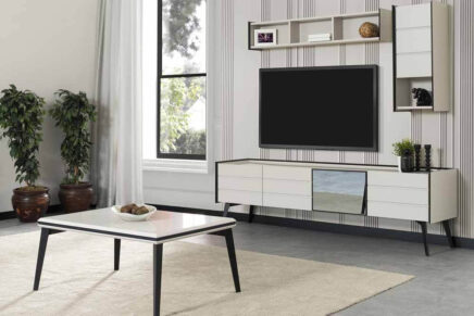 mona tv unitesi 1