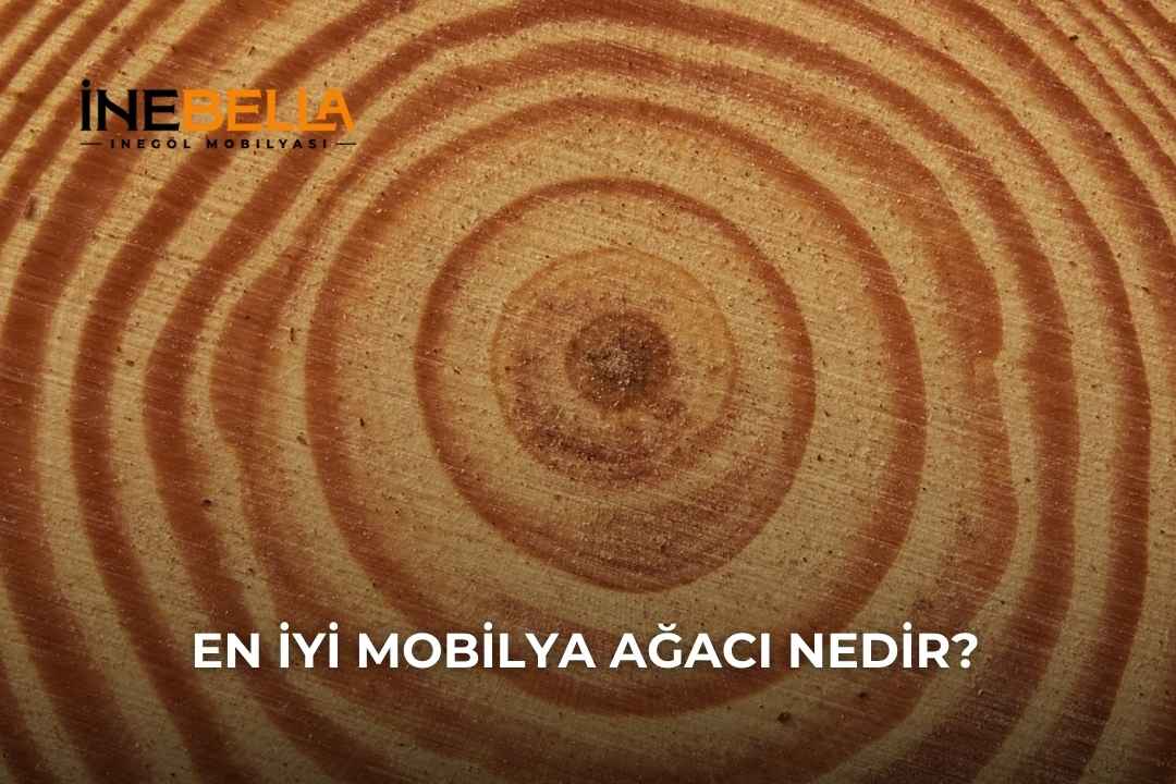 En İyi Mobilya Ağacı Nedir